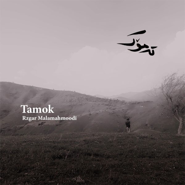 آلبوم تە‌مۆک